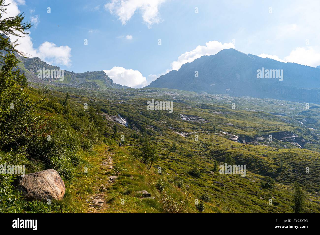 Prati di paesaggio alpino, tranquilla zona escursionistica nel nord Italia, in Europa Foto Stock