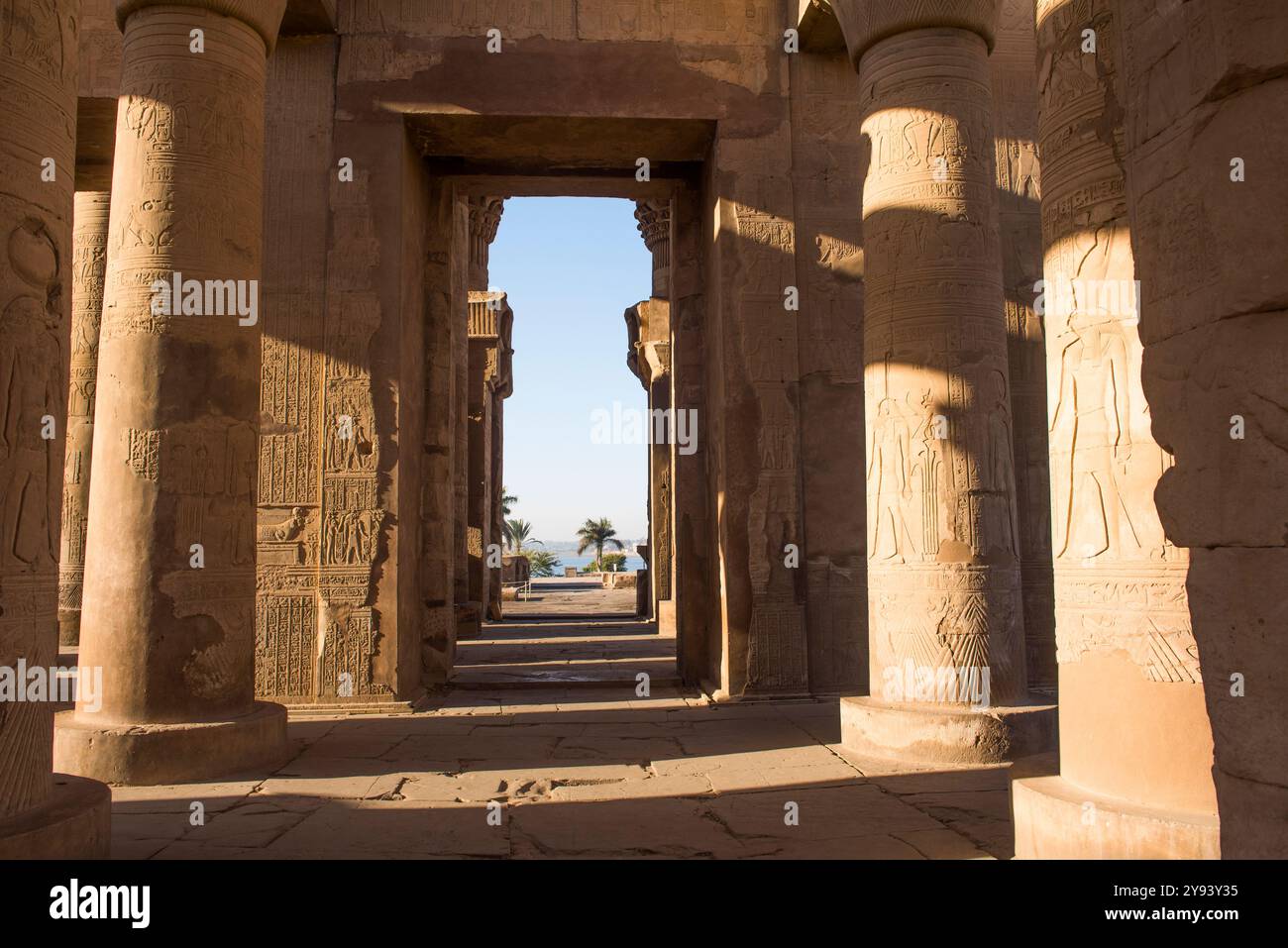 Tempio di Kom Ombo dedicato agli dei Sobek e Haroeris, Egitto, Nord Africa, Africa Foto Stock