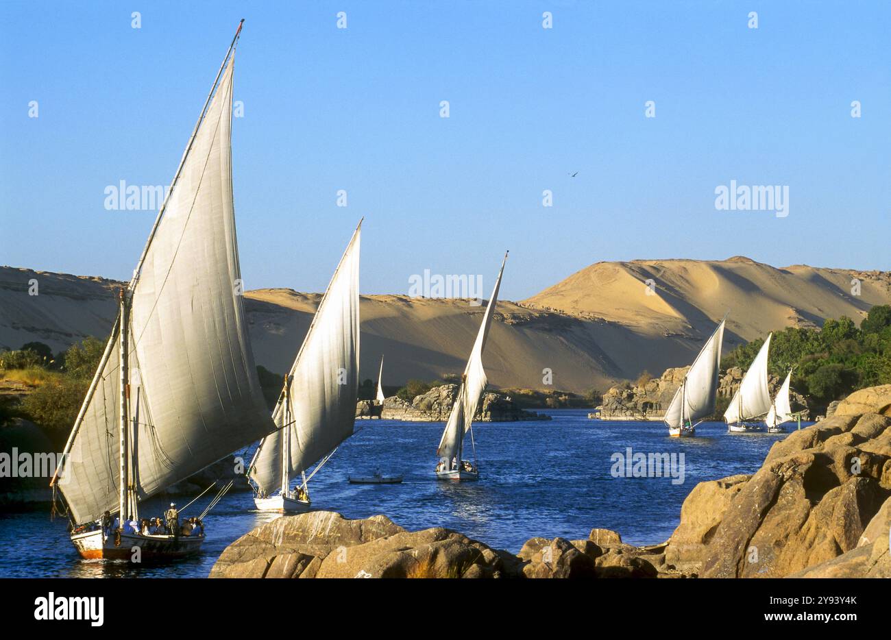 Felucche sul Nilo, Assuan, Egitto, Nord Africa, Africa Foto Stock