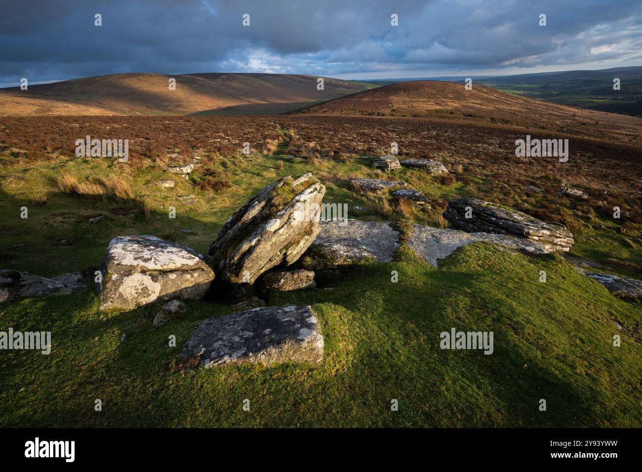Birch Tor in Evening Sunlight, Dartmoor National Park, Devon, Inghilterra, Regno Unito, Europa Foto Stock