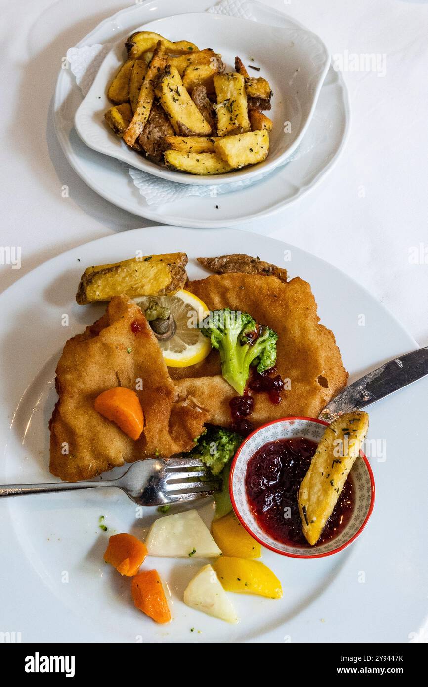 Un croccante schnitzel accompagnato da patatine fritte stagionate e un contorno di marmellata di frutta, servito su un piatto bianco guarnito con limone fresco e verdure servite Foto Stock