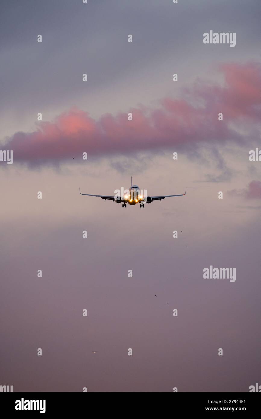Una vista frontale di un aereo commerciale che si avvicina per atterrare sullo sfondo di un sereno cielo crepuscolo, illuminato da morbide nuvole rosa Foto Stock