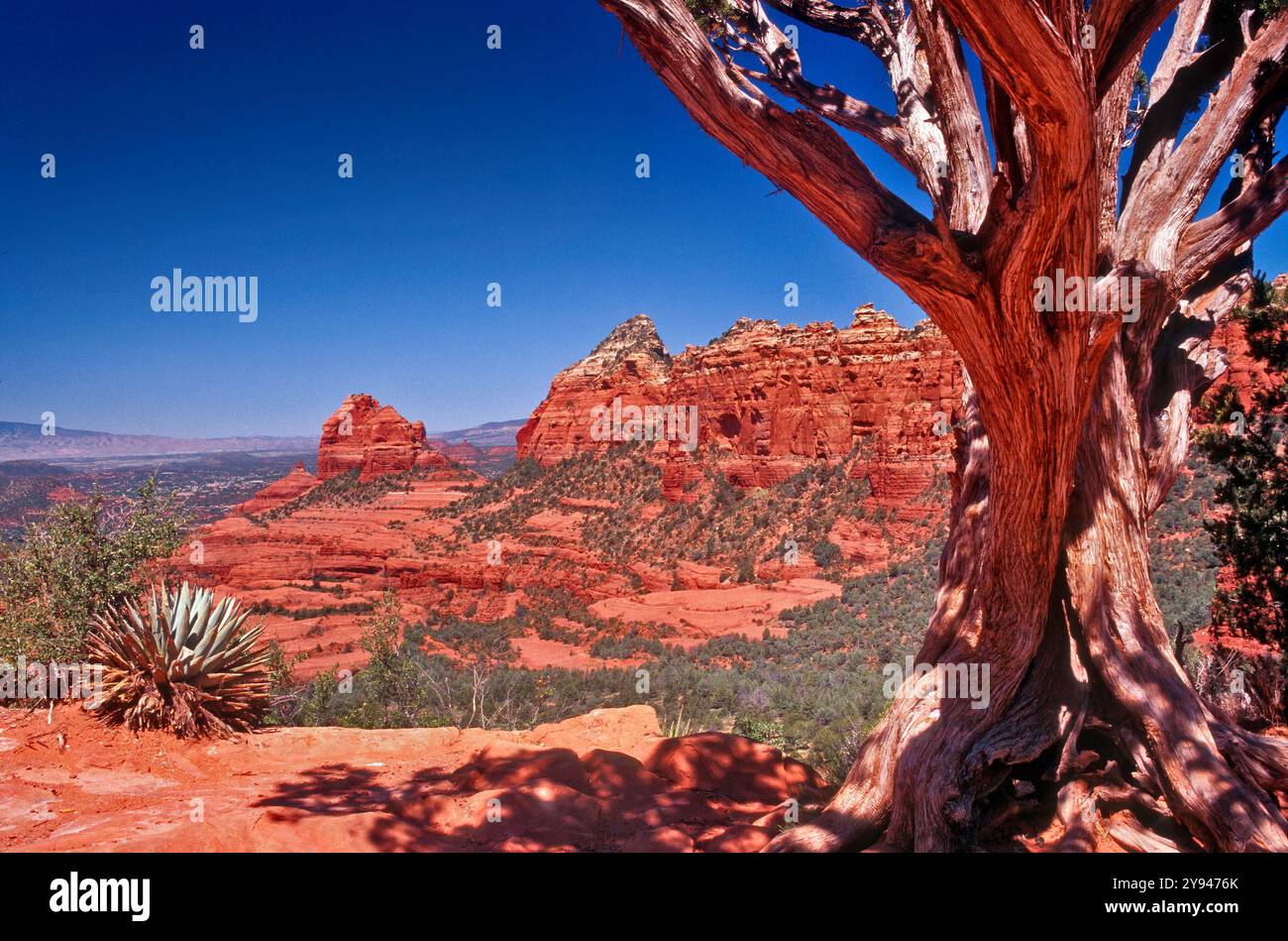 Vista da Schnebly Hill Road, vicino a Sedona, Arizona, Stati Uniti Foto Stock