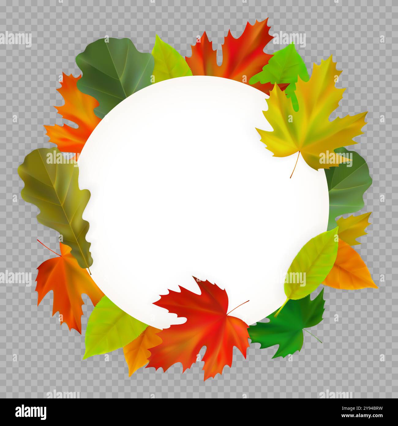 Carta autunnale con foglie autunnali di acero e quercia realistiche. Composizione rotonda di foglie autunnali su sfondo trasparente. Illustrazione vettoriale Illustrazione Vettoriale