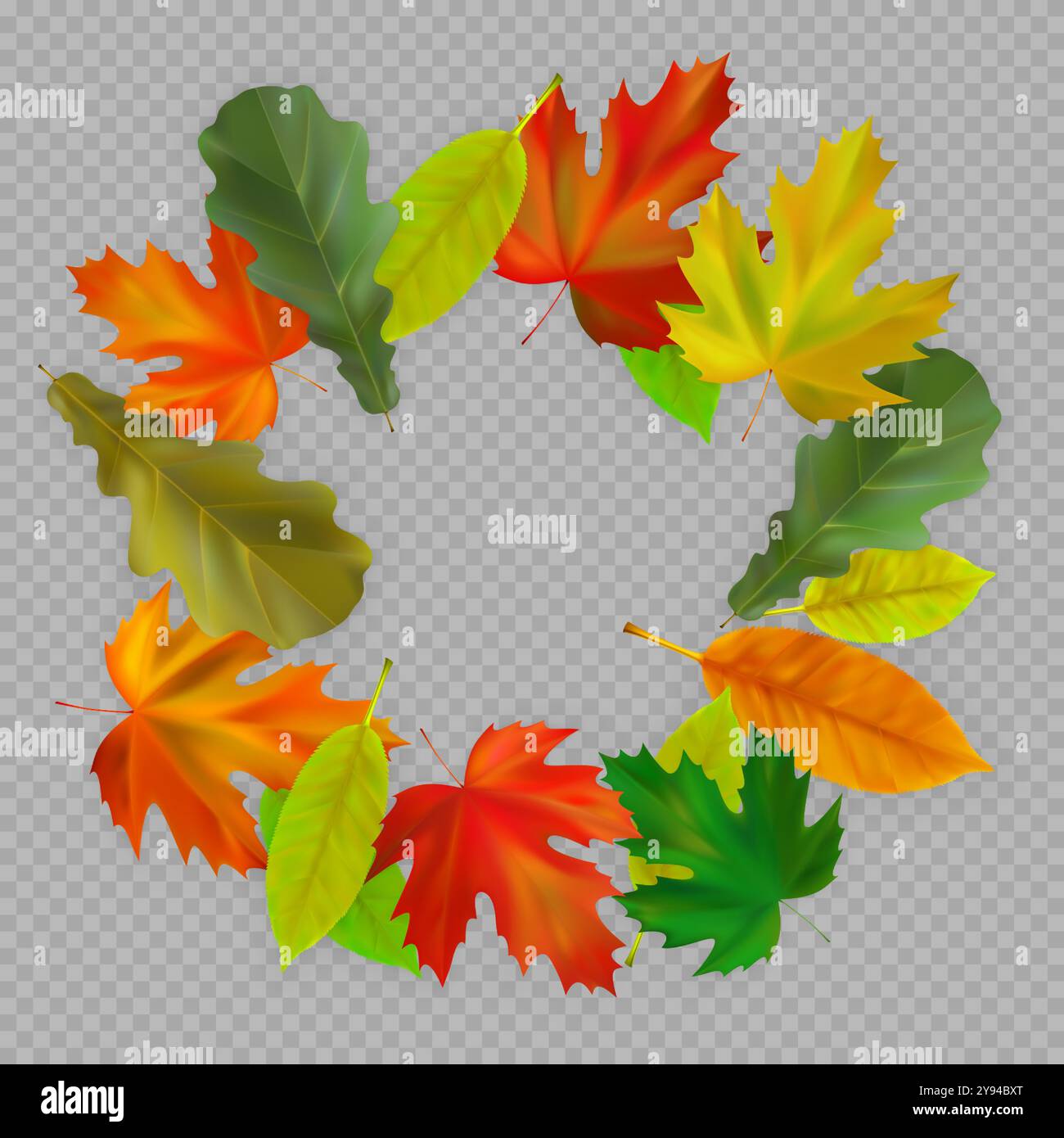 La corona delle foglie d'autunno. Composizione rotonda di acero, foglie autunnali di quercia su sfondo trasparente. Illustrazione vettoriale Illustrazione Vettoriale