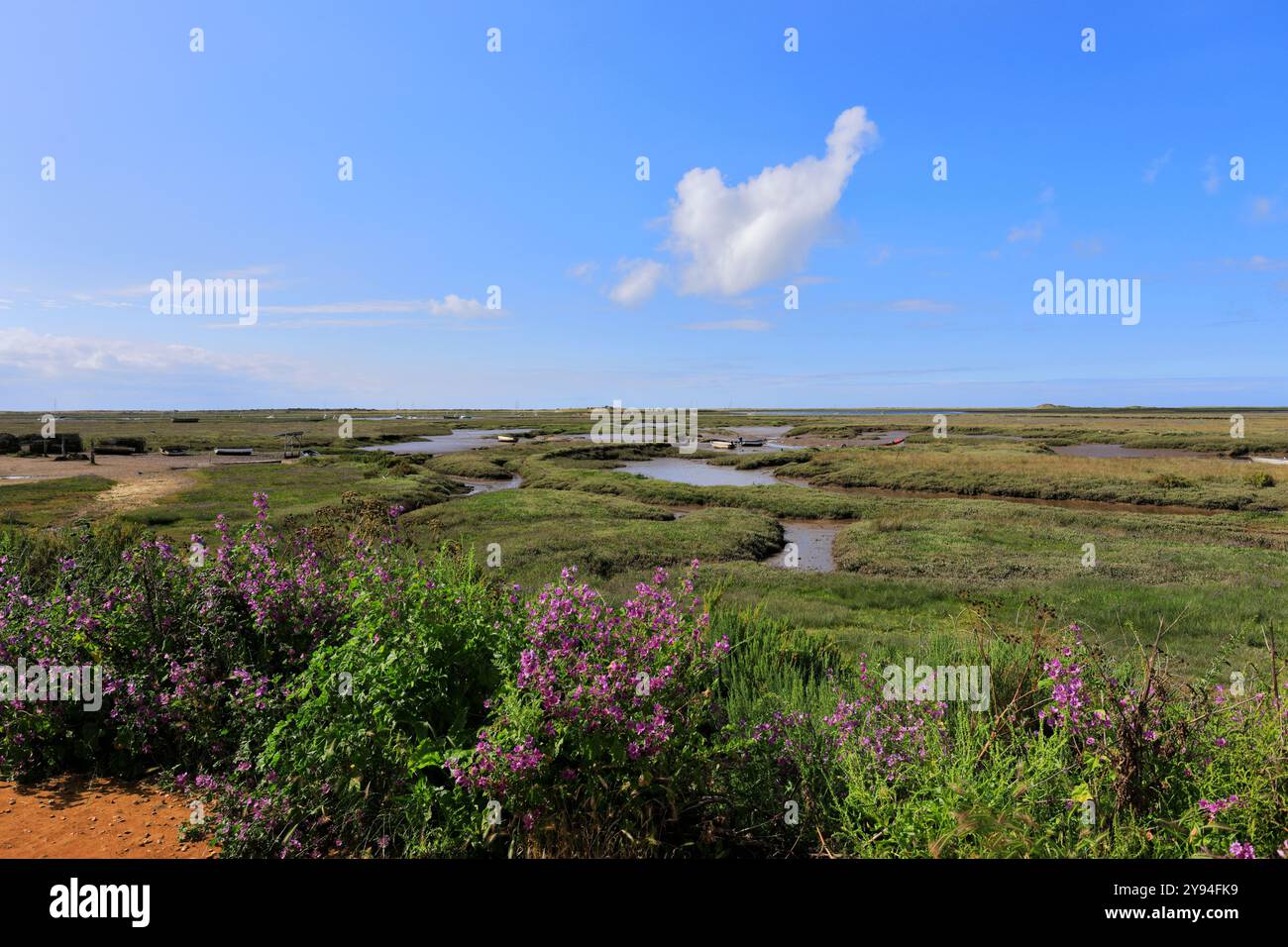 Ammira il Mow Creek e le paludi salate, Brancaster Staithe Village, North Norfolk, Inghilterra, Regno Unito Foto Stock