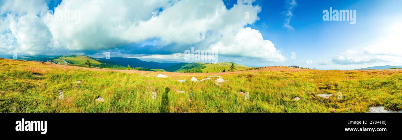 Transalpina, Săliște, Novaci, Sebes, strada panoramica, România Foto Stock