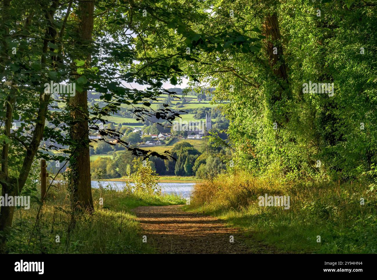 Sentiero boschivo al lago Blagdon, Somerset, Regno Unito, subito dopo l'alba, con alberi illuminati dal sole verde brillante al sole del mattino presto e villaggio di Blagdon nel distretto Foto Stock