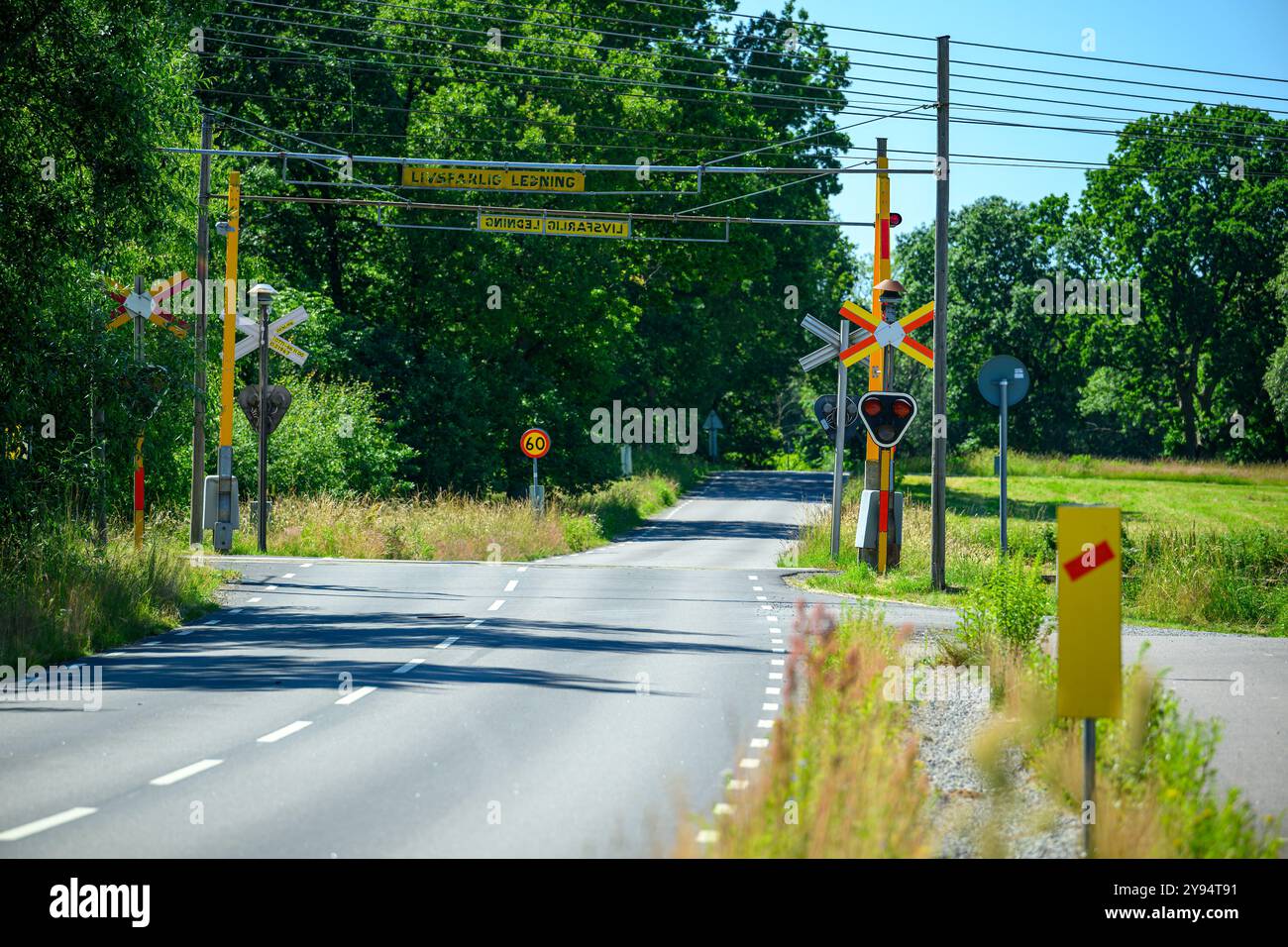 Una tranquilla strada rurale presenta luminosi segnali di attraversamento ferroviario in mezzo a una vibrante vegetazione sotto cieli azzurri. L'area è tranquilla e invitante Foto Stock