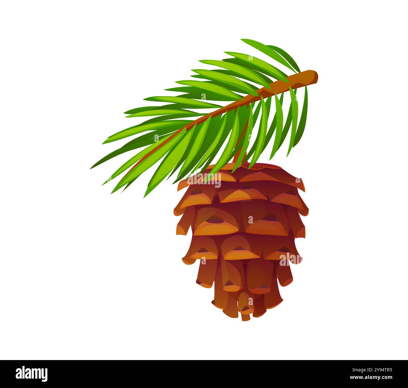 Cono di pino cartoni animati con lussureggianti aghi verdi sempreverdi. Oggetto isolato della foresta naturale stagionale autunnale vettoriale. Struttura in legno, portante di semi con scaglie dure sovrapposte appese al ramo di pino Illustrazione Vettoriale