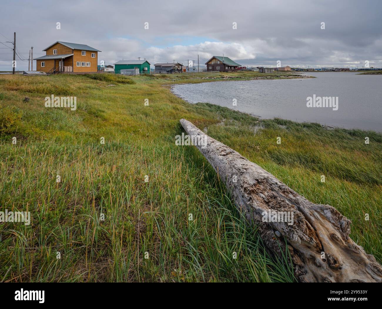 Accedi sulla costa erbosa dell'Oceano Artico presso la comunità di Tuktoyaktuk, territori del Nord-Ovest, Canada Foto Stock
