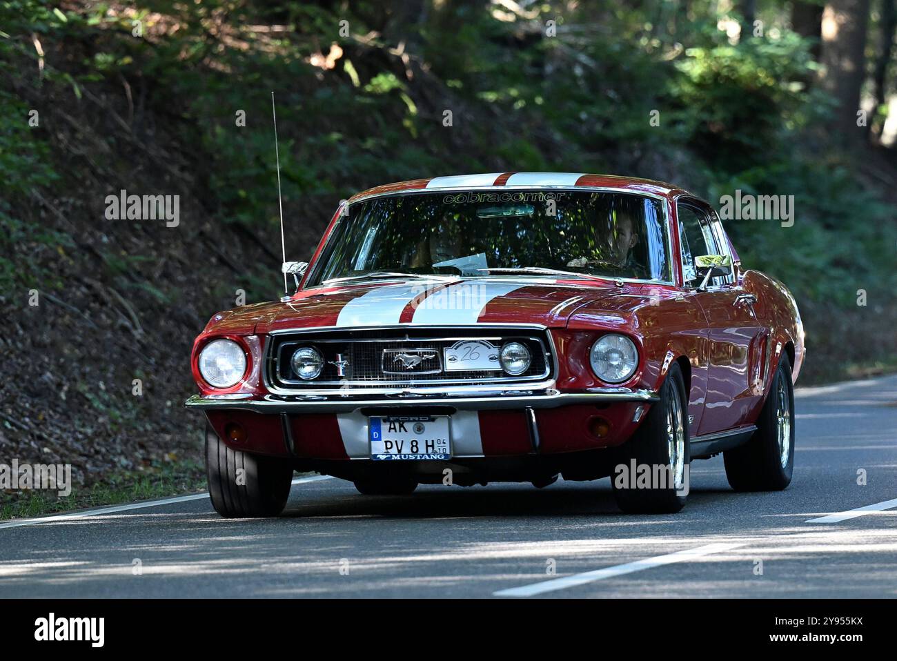 Altenkirchen Themenfoto: Automobil, Oldtimer, Veteranen, Klassiker, Raritaeten, Deutschland, Rheinland-Pfalz, Altenkirchen, MSC Altenkirchen, 44. ADAC Raiffeisen-Veteranenfahrt, 05.10.2024 Ford Mustang Fastback BJ. 1968 tema: Automobil, Oldtimer, Veteranen, Klassiker, Raritaeten, Deutschland, Rheinland-Pfalz, Altenkirchen, MSC Altenkirchen, 44. ADAC Raiffeisen-Veteranenfahrt, 05.10.2024 *** foto a tema Altenkirchen Automobil, Oldtimer, Veteranen, Klassiker, Raritaeten, Deutschland, Rheinland Pfalz, Altenkirchen, MSC Altenkirchen, 44 ADAC Raiffeisen Veteranenfahrt, 05 10 2024 Ford Mustang Foto Stock