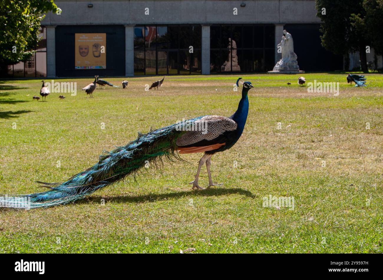 Museo di Lisbona / Palazzo Pimenta - Lisbona Portogallo Foto Stock