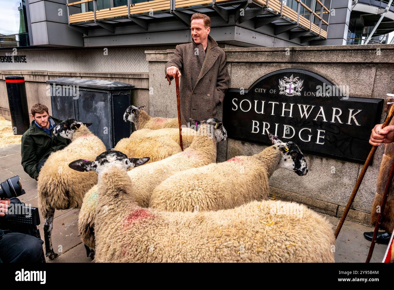 L'attore di Hollywood Damian Lewis conduce l'annuale Sheep Drive attraverso il Southwark Bridge in un evento ospitato dalla Worshipful Company of Woolmen, Londra, Regno Unito. Foto Stock