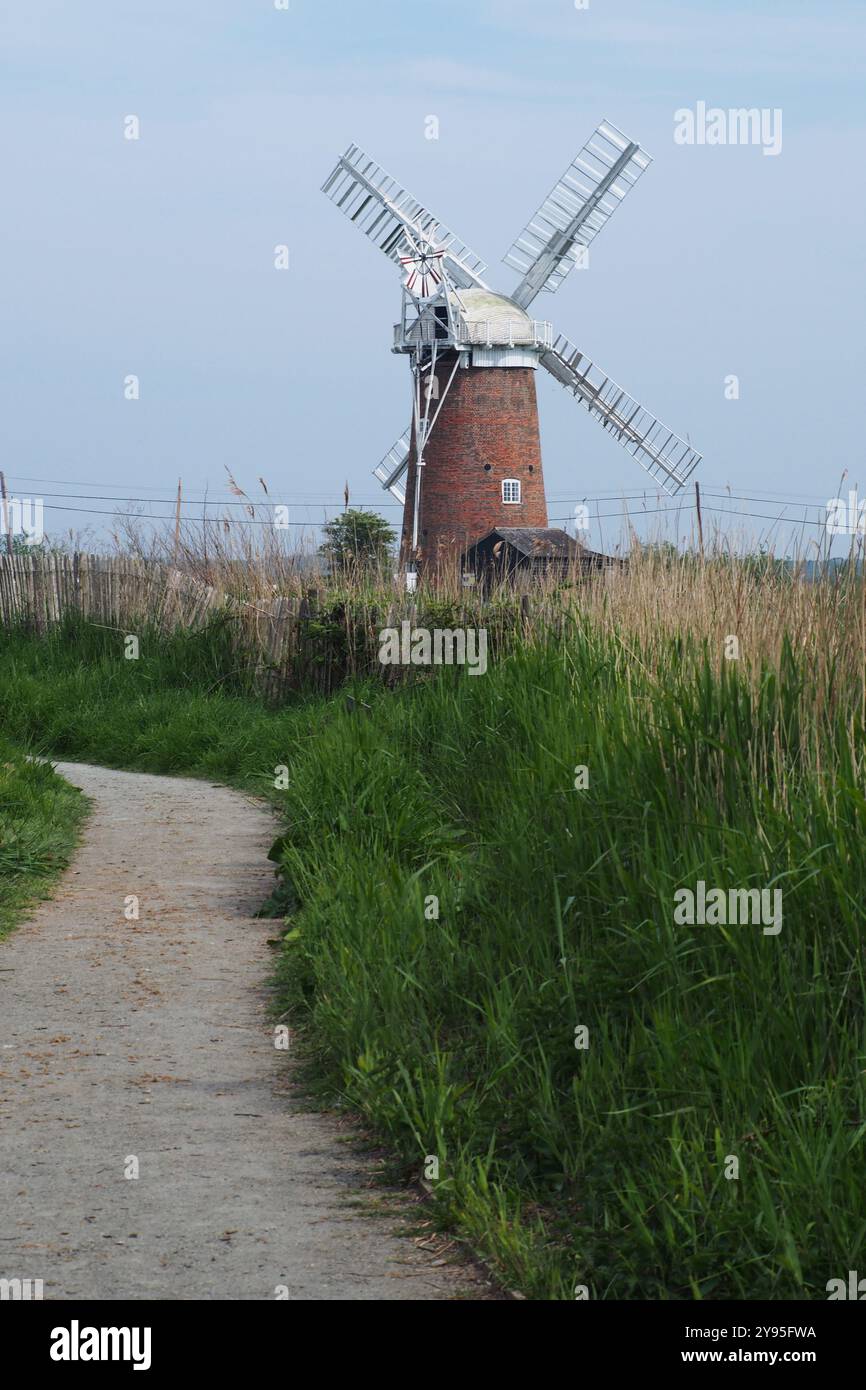 Una vista di Horsey windpump un mulino restaurato, con un sentiero, erba e canne in primo piano. Norfolk, Inghilterra Regno Unito Foto Stock