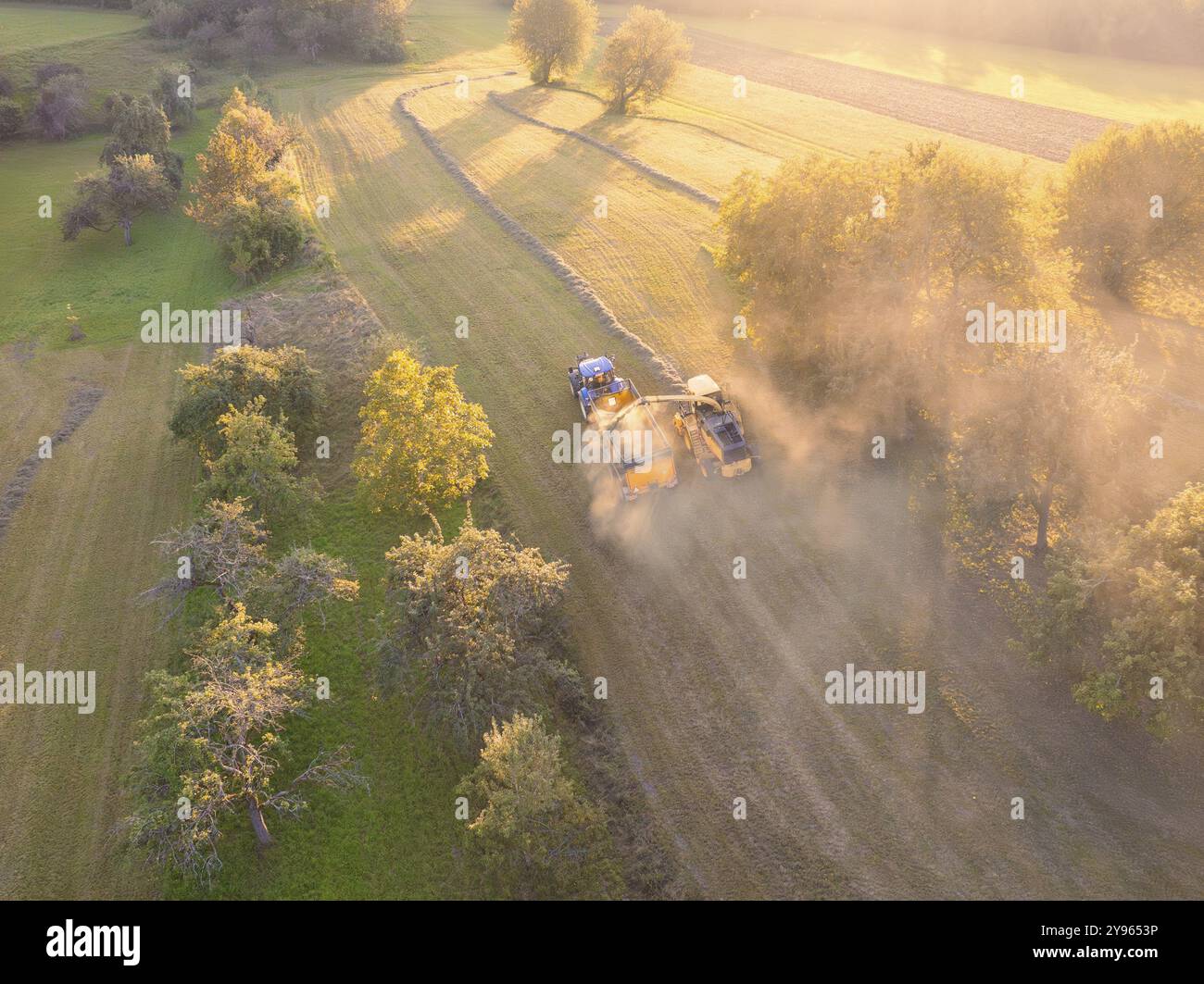 Due veicoli in un campo che raccolgono e calpestano la polvere al tramonto, circondati da alberi e campi, Haselstaller Hof, Gechingen, Foresta Nera, Germania, Foto Stock