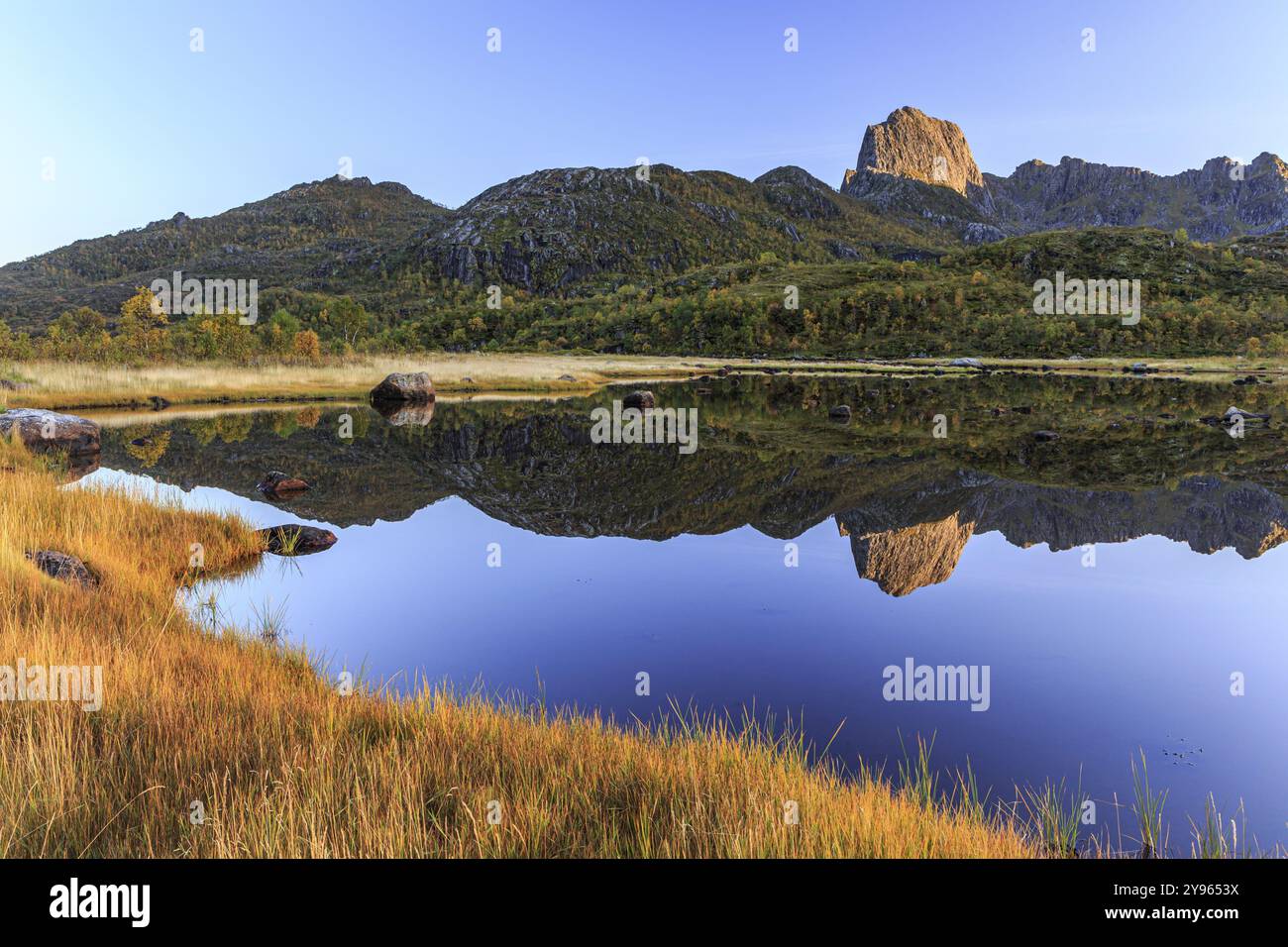 Montagna riflessa nel lago, autunno, luce del mattino, soleggiato, Vesteralen, Norvegia, Europa Foto Stock