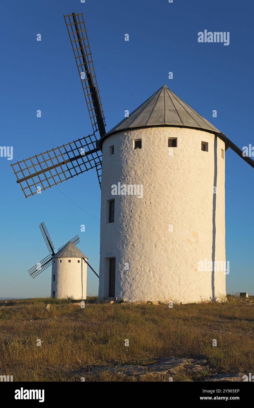 Grande mulino a vento alla luce del sole con un altro sullo sfondo, campo de Criptana, provincia di Ciudad Real, Castilla-la Mancha, percorso Don Chisciotte, centro benessere Foto Stock