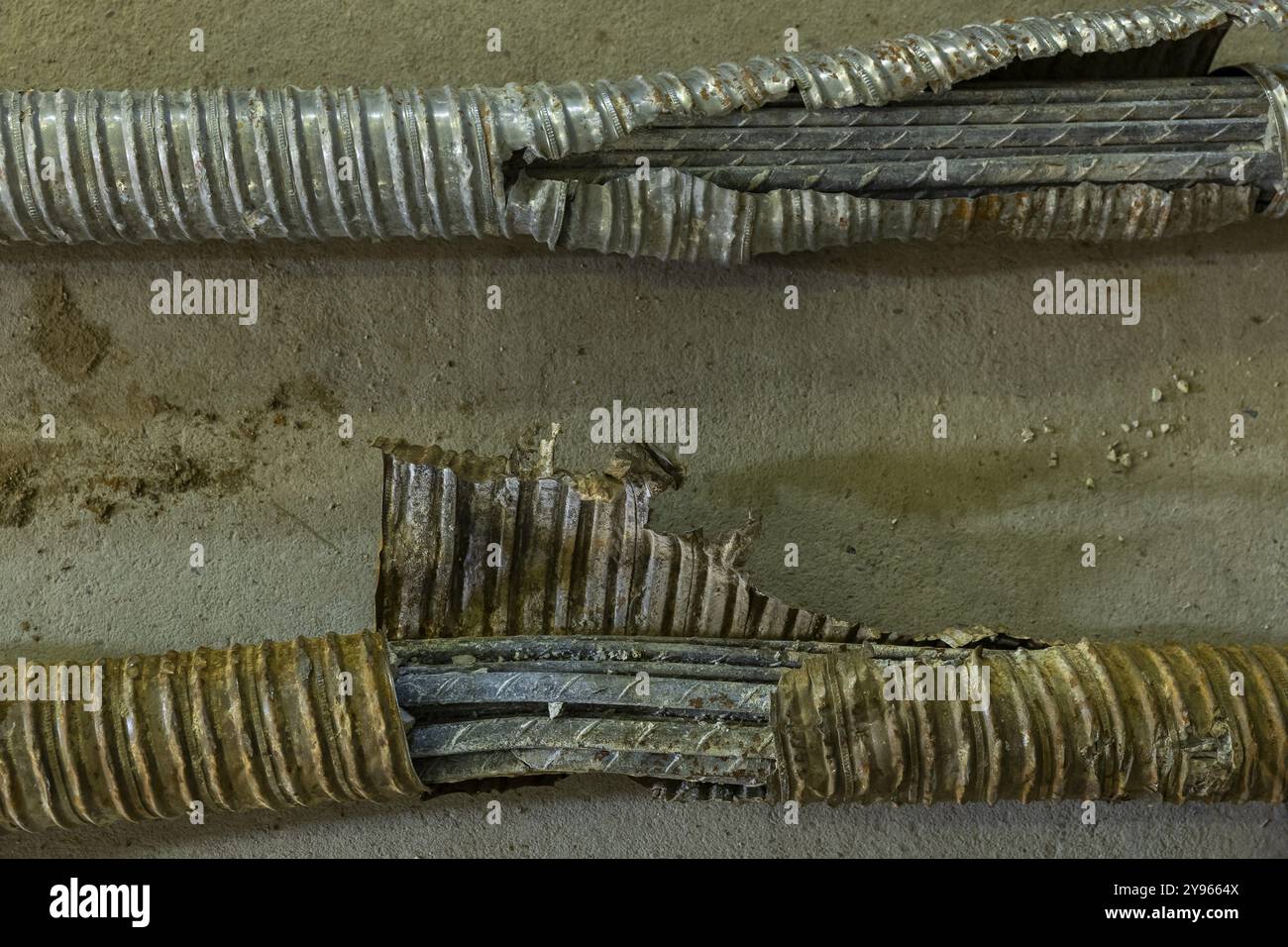 MKP GmbH, la società incaricata di analizzare e valutare le condizioni del ponte di Carola, ha presentato vari campioni di materiale dei detriti del ponte t Foto Stock