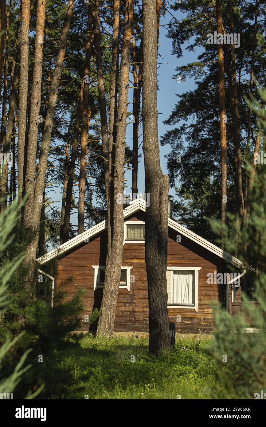 Piccolo e accogliente cottage in legno in una foresta di pini in estate. Rifugio rustico e tranquillo in un'area rurale naturale, fotografia gastronomica, fotografia gastronomica Foto Stock