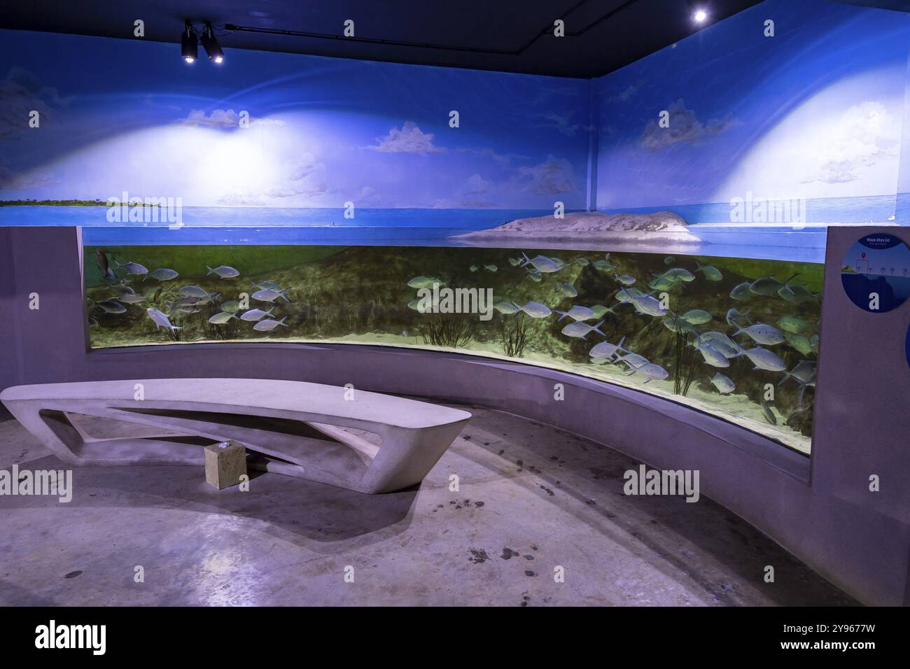 Sala espositiva, acquario, Odysseo Oceanarium Mauritius, acquario espositivo, grande acquario, città vecchia, Port Louis, Oceano Indiano, isola, Mauritius, Africa Foto Stock