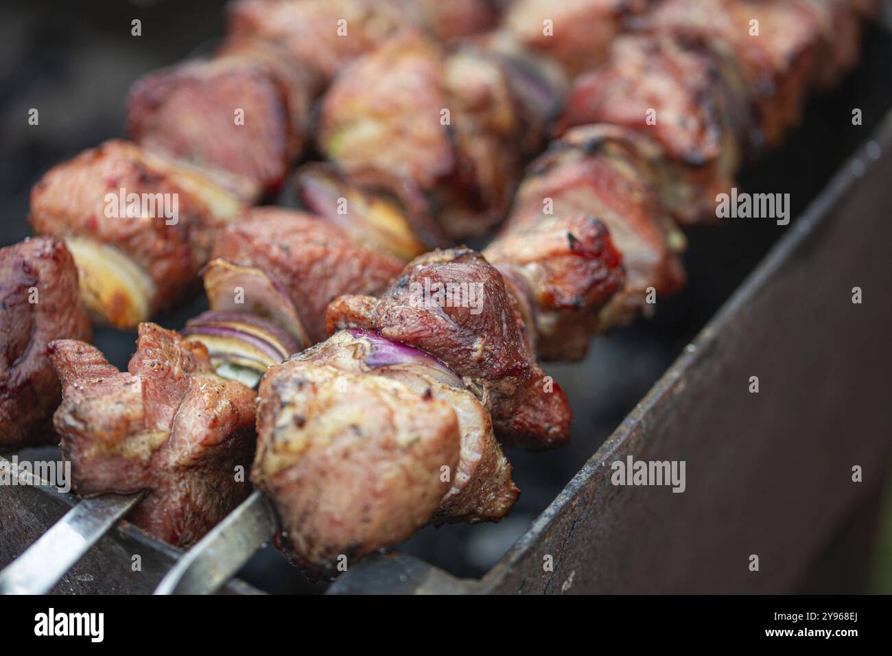 Picnic all'aperto con kebab di carne fresca alla griglia (shashlik) su spiedini d'acciaio su carbone di legna alla griglia. Barbecue durante il picnic estivo nel verde del giardino, cibo Foto Stock