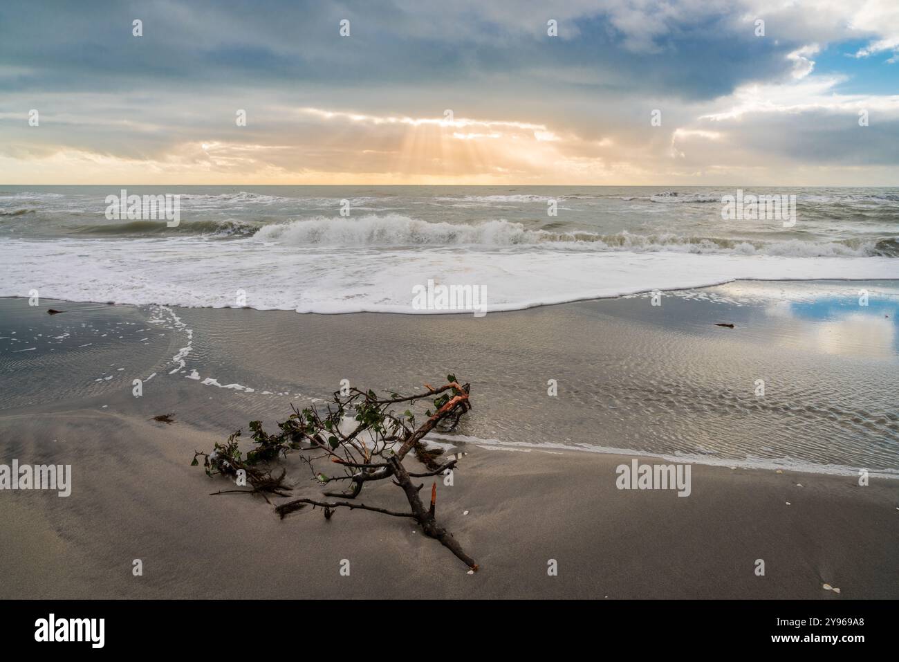 Serata sulla spiaggia sulla costa del Golfo della Florida vicino a Venice Foto Stock