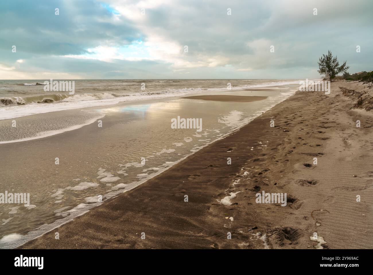 Vista della spiaggia di а sulla costa del Golfo della Florida vicino a Venice Foto Stock