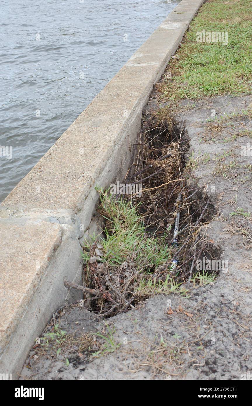 Erba e sporcizia danneggiate erose in primo piano dietro la diga di cemento. Bay Water sulla sinistra. Primo piano. Foto Stock