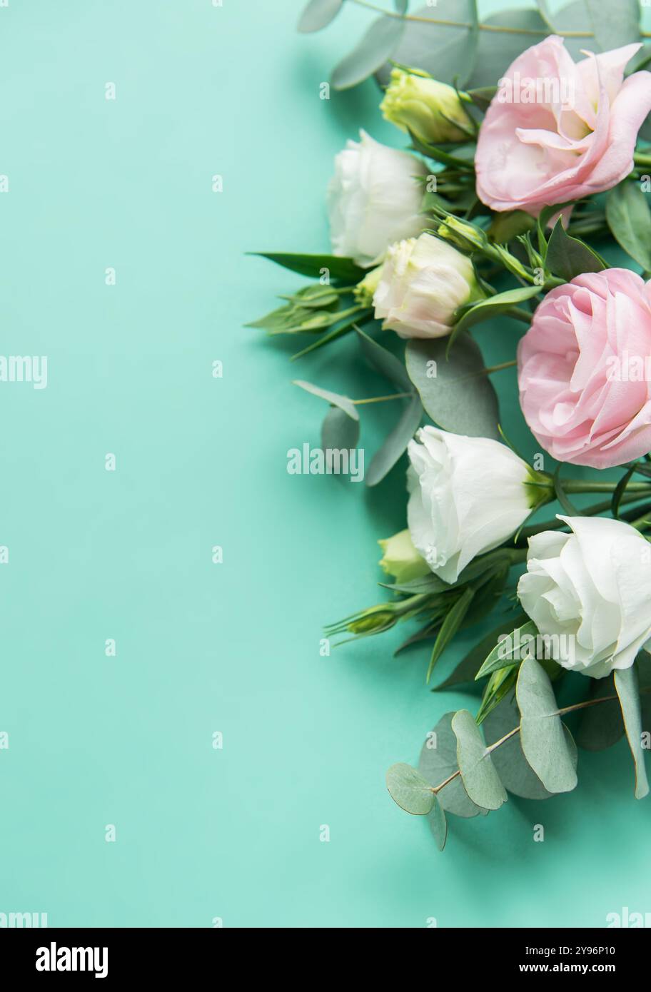 Una splendida composizione caratterizzata da delicati fiori pastello accanto alle foglie di eucalipto è posta su un vibrante sfondo turchese. Fresh Blooms cr Foto Stock