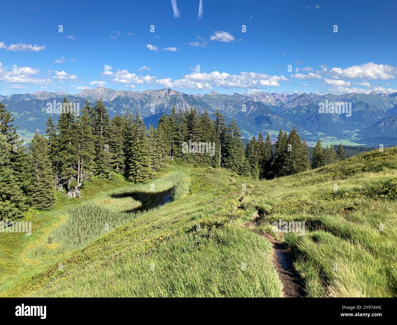 Una palude rialzata sul monte Wannenkopf nell'Allgaeu, Baviera, Germania - Immagine stock catturata con smartphone