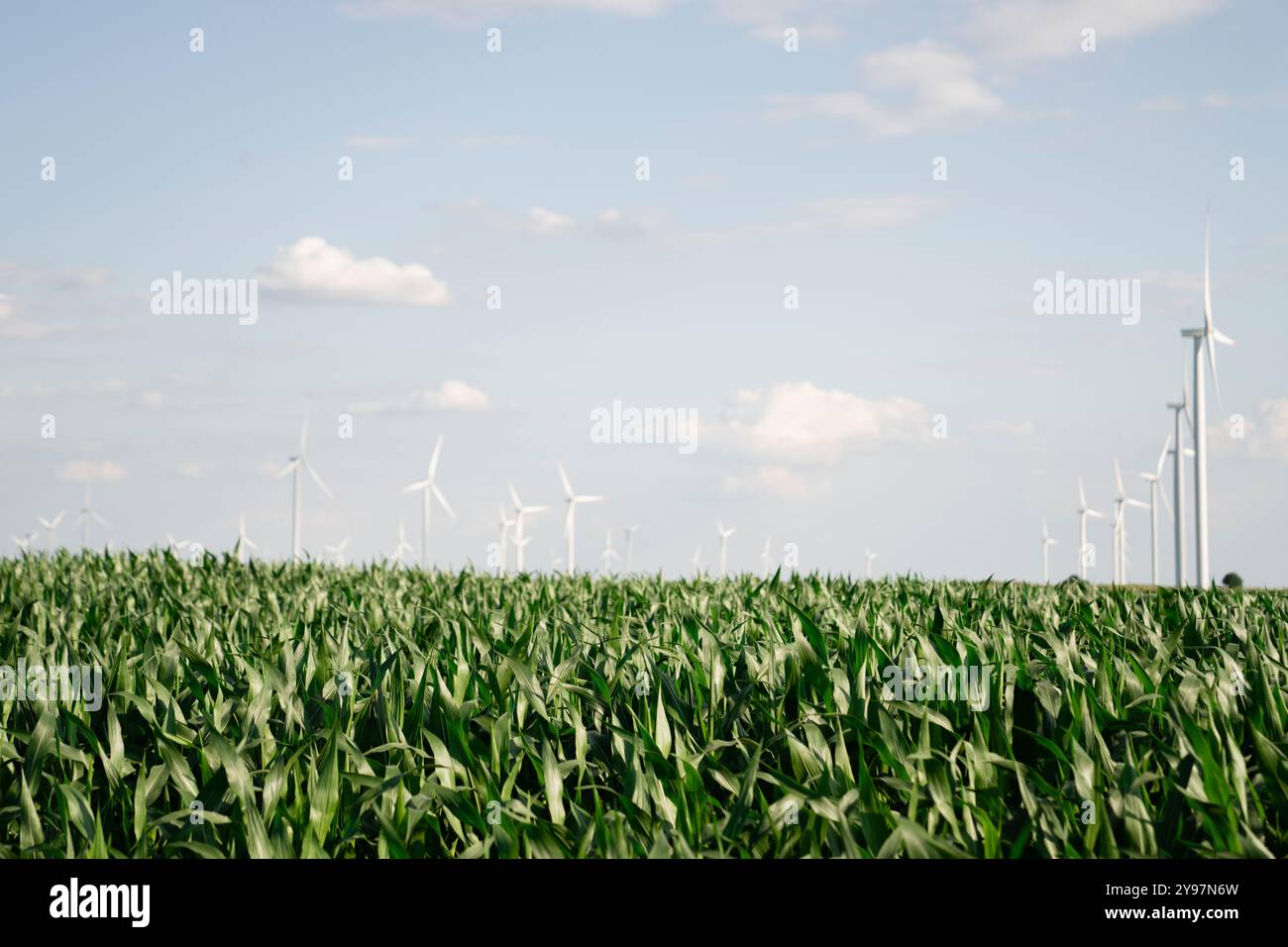 Turbine eoliche in un campo agricolo. Energia sostenibile.. Foto Stock