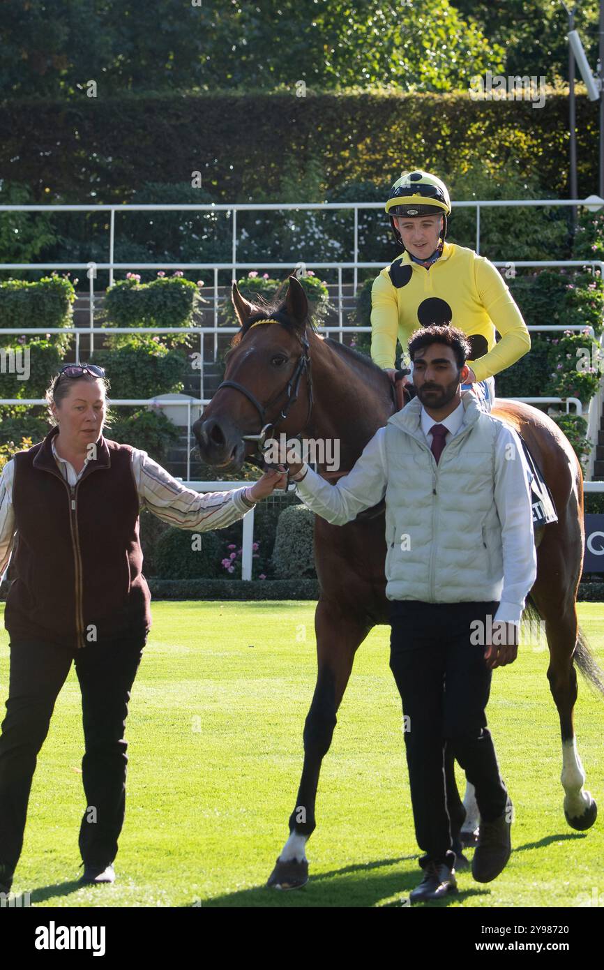 Ascot, Berkshire, Regno Unito. 5 ottobre 2024. VOLTERRA guidata dal fantino Shane Gray vince la BetMGM Challenge Cup (Class 2 Heritage handicap) al BetMGM Autumn Saturday Raceday presso l'Ascot Racecourse nel Berkshire. Proprietario Sheikh Mohammed Obaid al Maktoum, allenatore Kevin Ryan, Hambleton, allevatore Cooneen Stud Crediti: Maureen McLean/Alamy Foto Stock