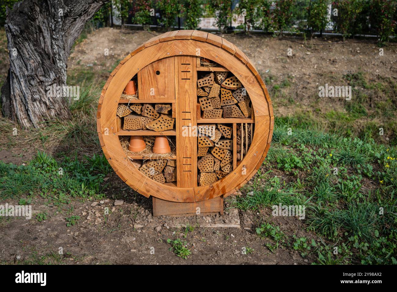 Insect hotel San Remy de Provence, Francia. Foto Stock