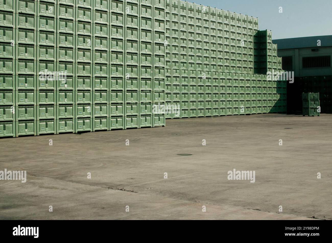 Raccolta della frutta e attività agricola in Piemonte Foto Stock