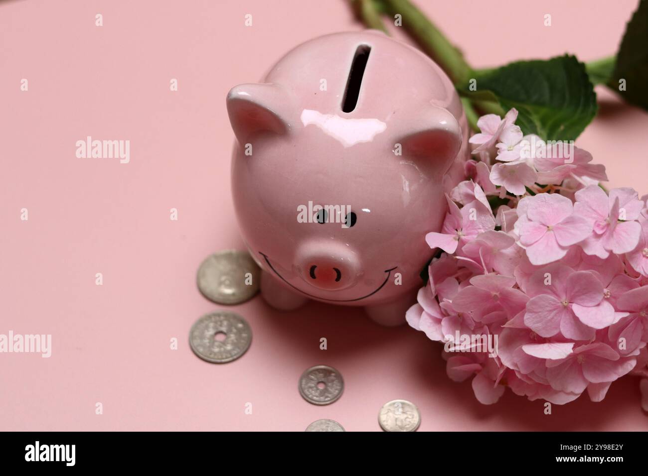 Salvadanaio rosa con monete e ortensie su sfondo rosa con spazio per il testo. Concetto di alfabetizzazione finanziaria. Foto Stock
