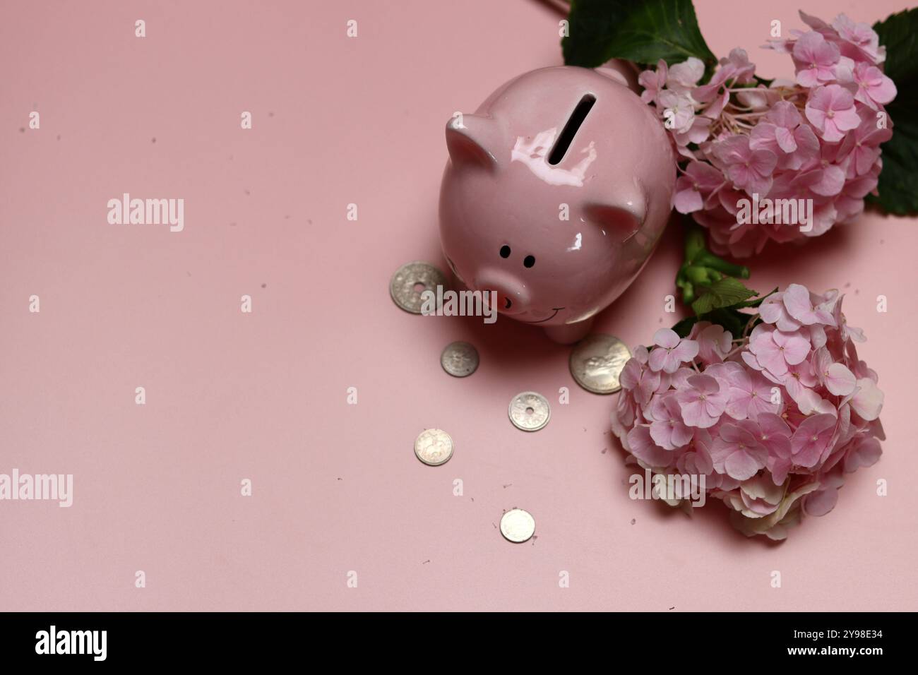 Salvadanaio rosa con monete e ortensie su sfondo rosa con spazio per il testo. Concetto di alfabetizzazione finanziaria. Foto Stock