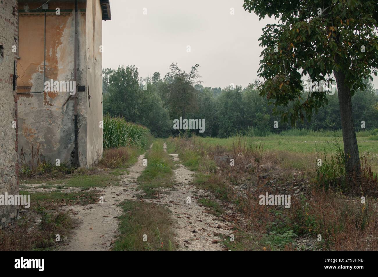 Immagine autunnale della campagna piemontese vicino alla città di Cuneo, Piemonte, Italia Foto Stock