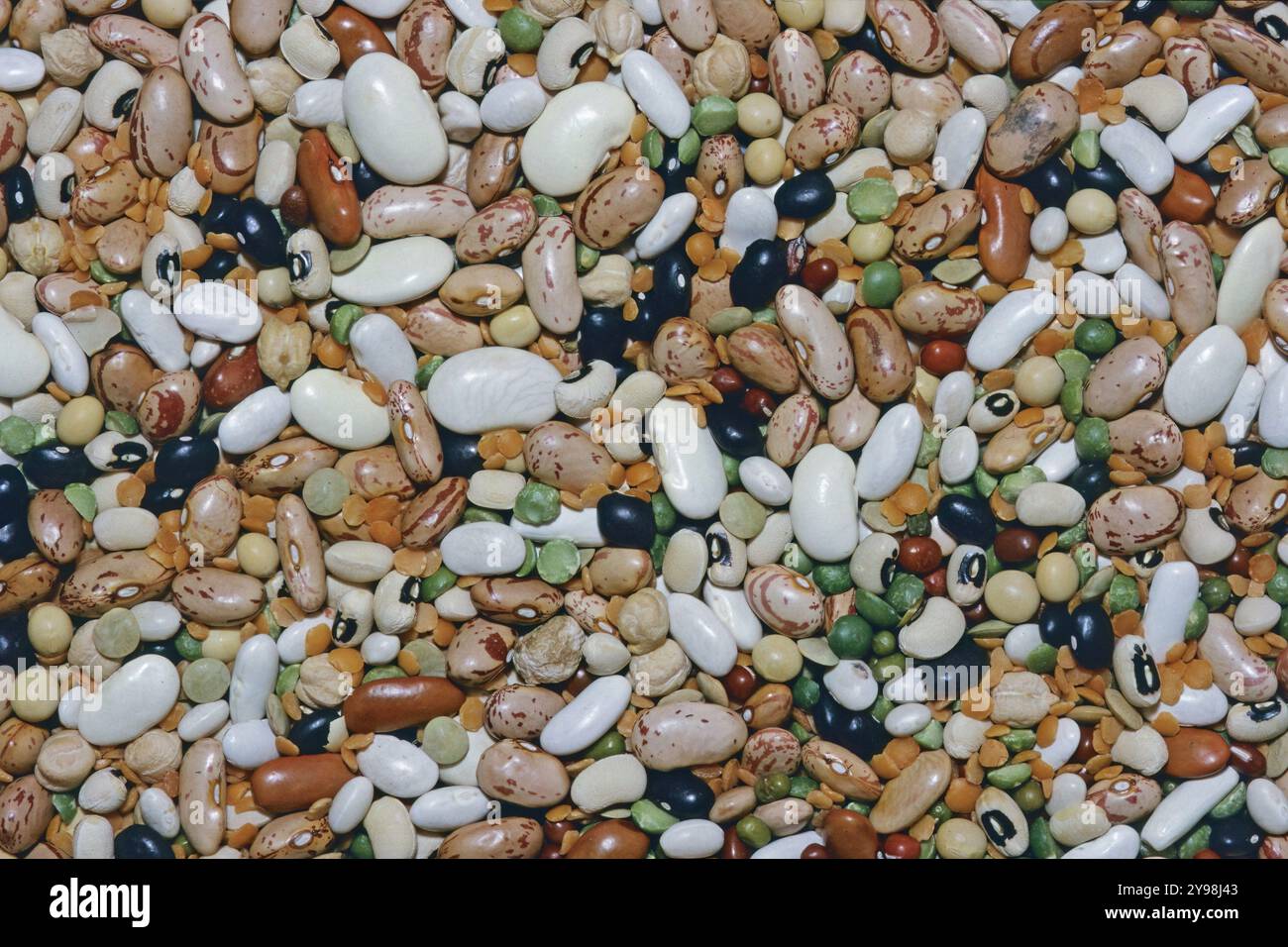 alcune varietà di legumi secchi; fagioli, lenticchie, ceci Foto Stock