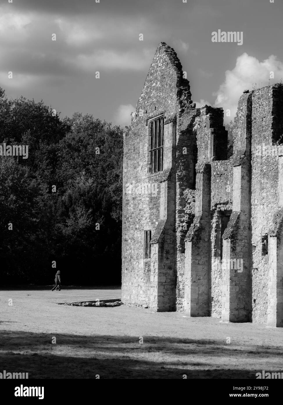 B&W Netley Abbey, Netley, Southampton, Inghilterra, Regno Unito, GB. Foto Stock