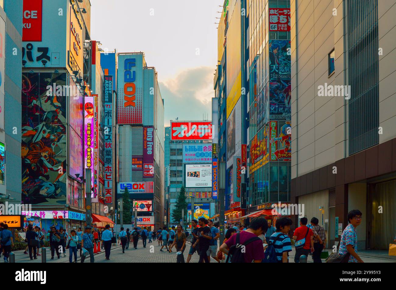 Quartiere dei giochi e degli anime di Akihabara: Un vivace centro di cultura otaku, pieno di negozi vivaci, portici e caffetterie a tema. Foto Stock