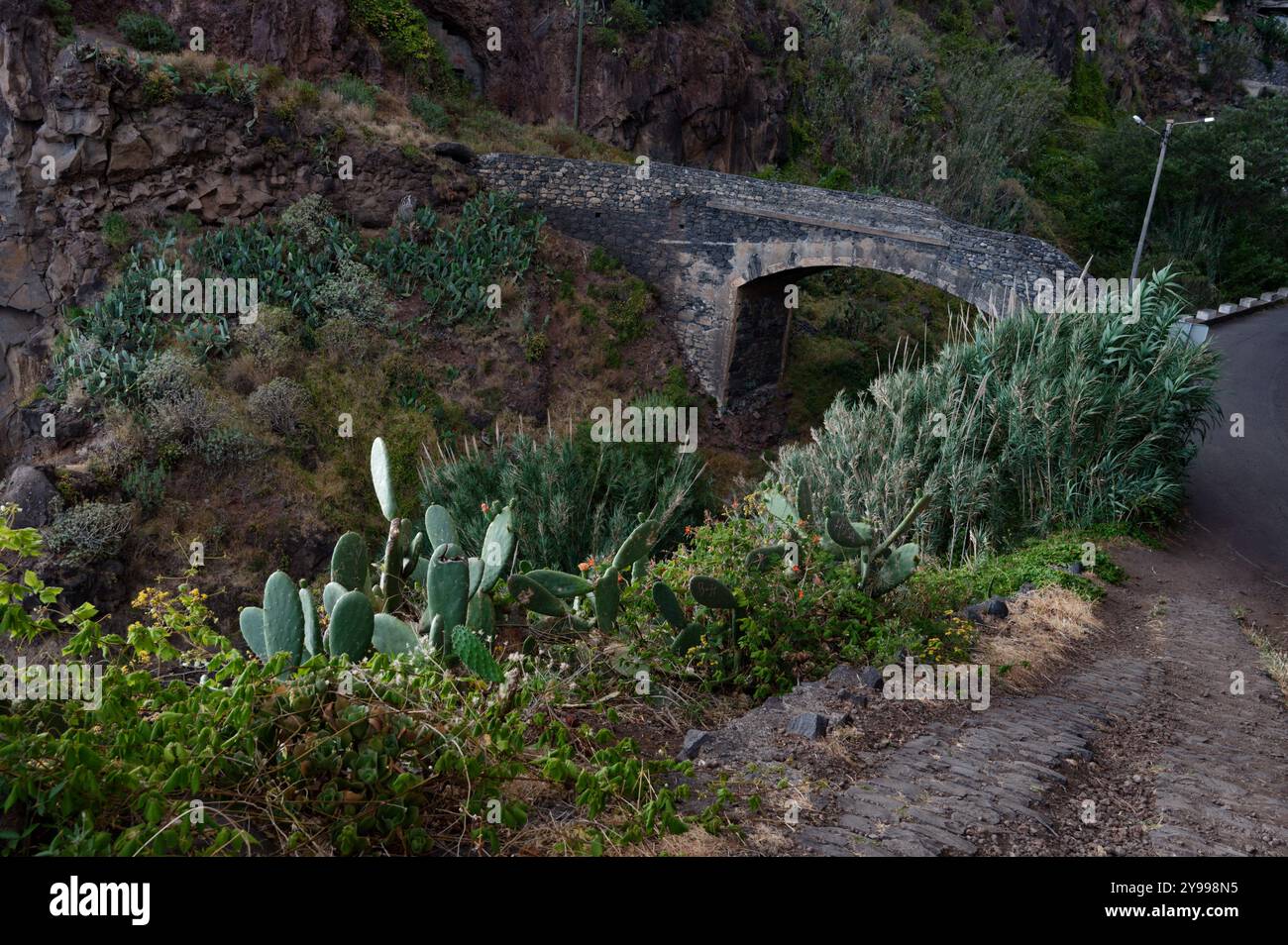 Il ponte di pietra si estende su una lussureggiante gola piena di cactus e piante costiere a Madeira Foto Stock