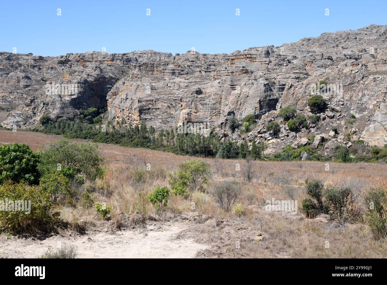 Il massiccio dell'Isalo. Foresta secca decidua con rocce di arenaria, canyon e fiumi. Ranohira, Fianarantsoa, regione di Ihorombe, Madagascar. Foto Stock