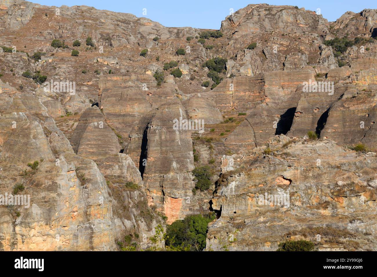 Il massiccio dell'Isalo. Foresta secca decidua con rocce di arenaria, canyon e fiumi. Ranohira, Fianarantsoa, regione di Ihorombe, Madagascar. Foto Stock