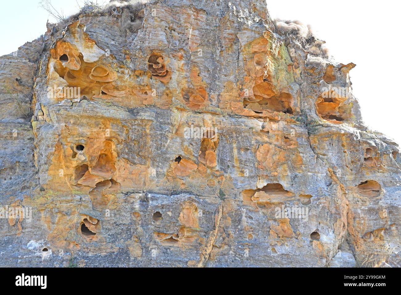 Il massiccio dell'Isalo. Pietra arenaria con tafoni. Ranohira, Fianarantsoa, regione di Ihorombe, Madagascar. Foto Stock