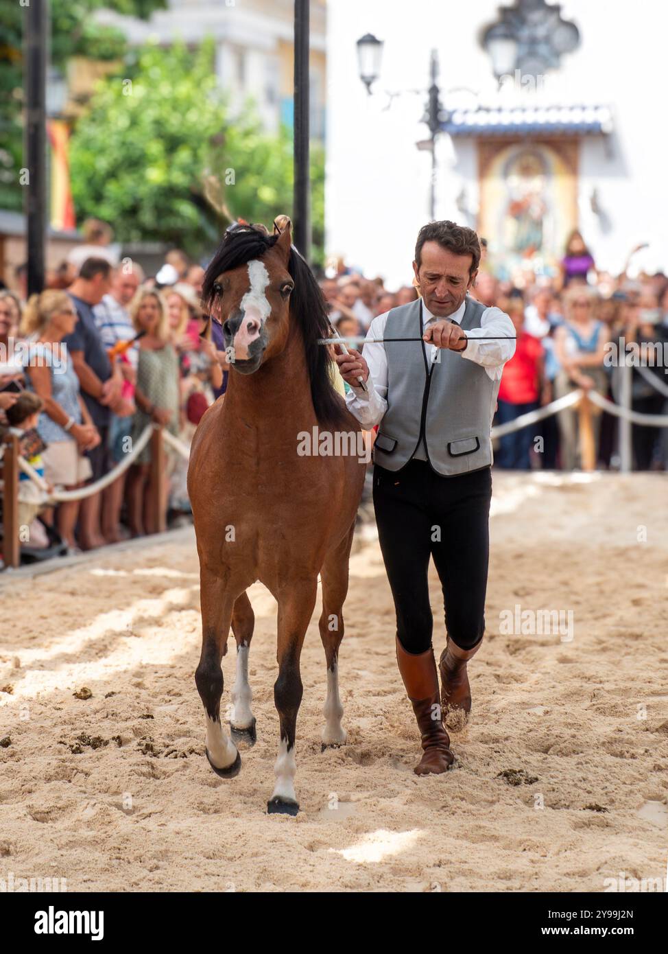 20/09/2024. Fuengirola, Malaga, Spagna. Pilota a piedi vestito con il tipico costume da cowboy andaluso, eseguendo esercizi scolastici Foto Stock