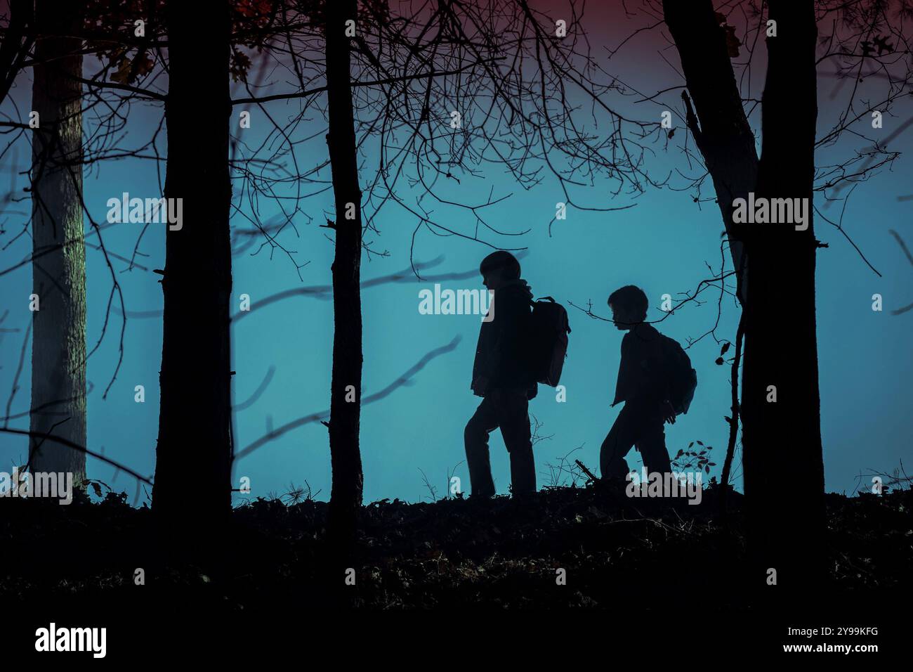 Salem's Lot, Nicholas Crovetti e Cade Woodward Foto Stock