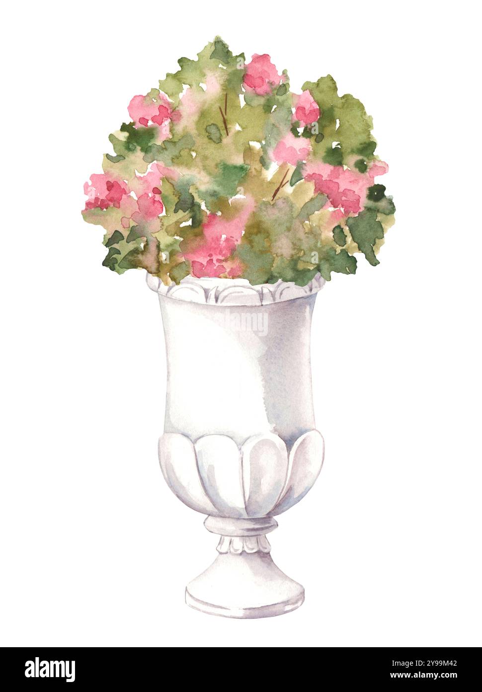 Illustrazione ad acquerello di delicati fiori rosa in pietra vaso in stile antico isolato su sfondo bianco. Design paesaggistico del parco e della casa giardino Foto Stock