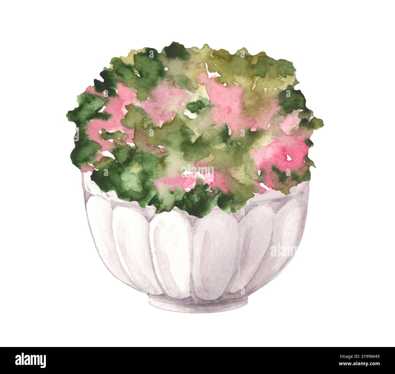 Illustrazione ad acquerello di delicati fiori rosa in pietra vaso in stile antico isolato su sfondo bianco. Design paesaggistico del parco e della casa giardino Foto Stock