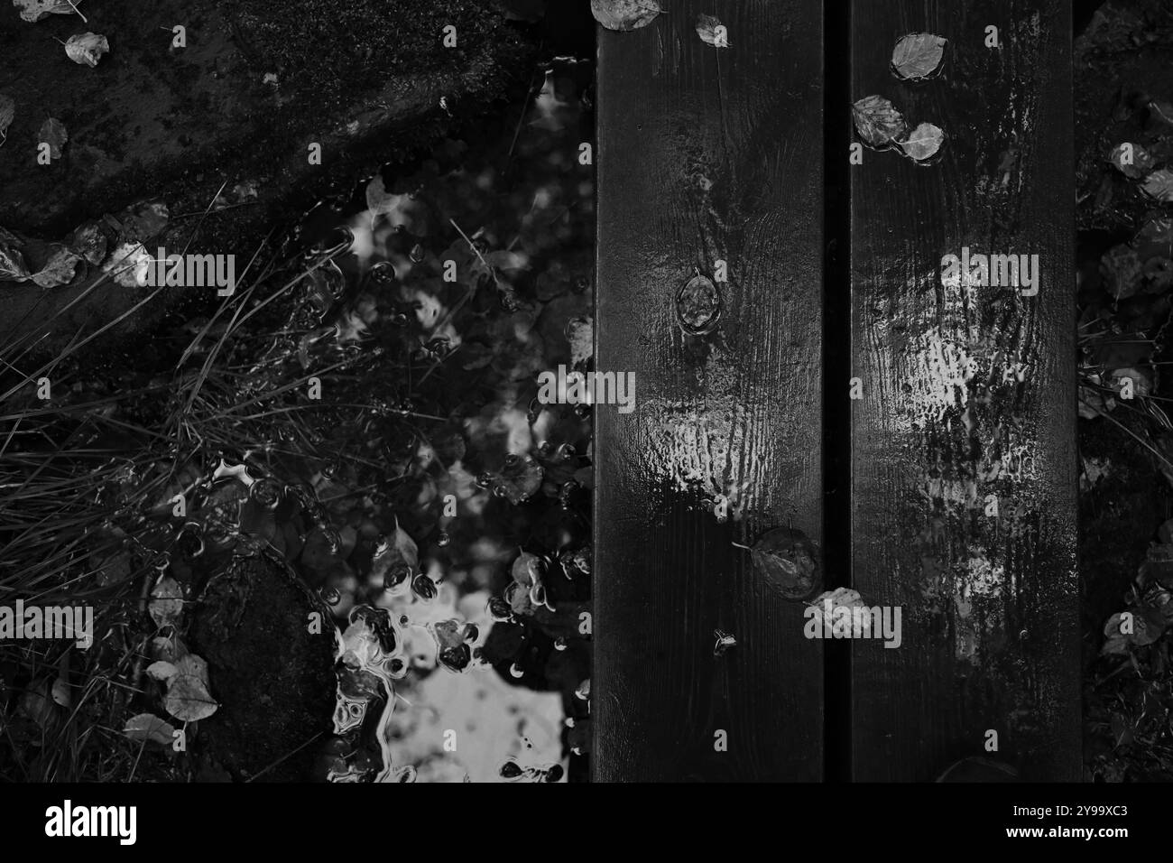 Förslöv, Skåne, Svezia. Oktober 9 2024. Area escursionistica di Hålehall. Foto Stock